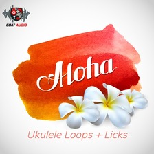 Aloha: Ukulele Loops + Licks